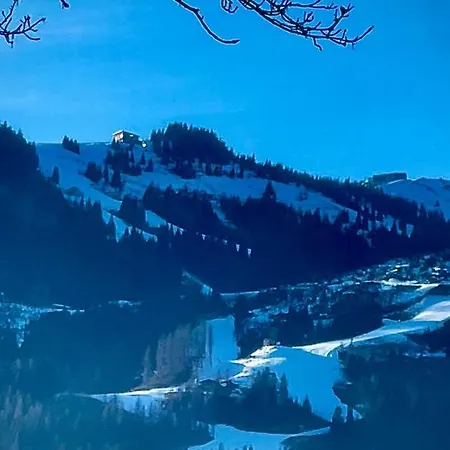 Gaste Streif Blick *